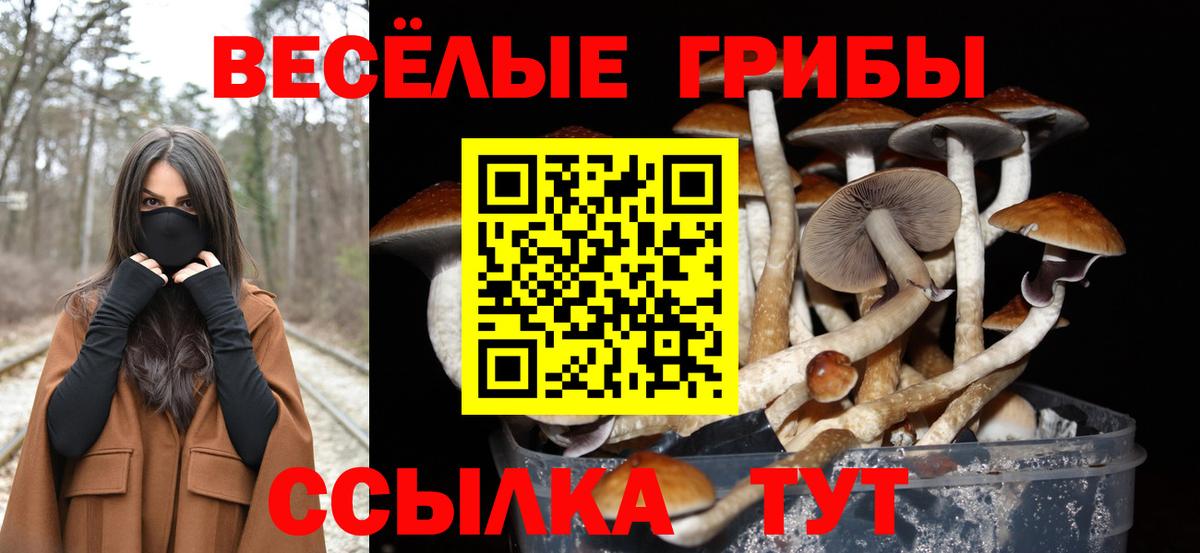 Галлюциногенные грибы мицелий Кубинка